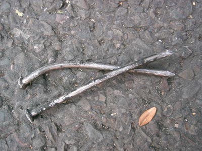 remember the london mail bomb campaign in 1999?