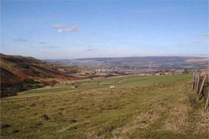 Mottram landscape