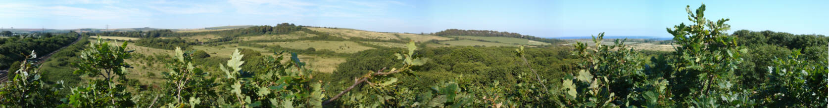 Treetop view of woods and surrounding heathland (v wide pic)