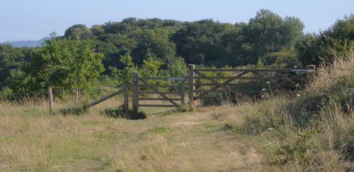 View from North along proposed route of road