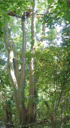 high platforms for defending trees