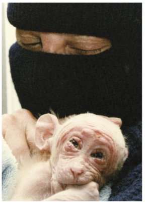 Masked thugs broke into a lab and stole this piece of property