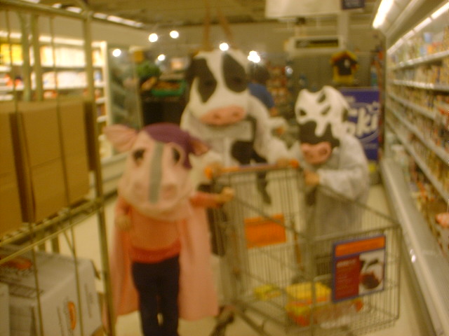 family cows don't like gm feed