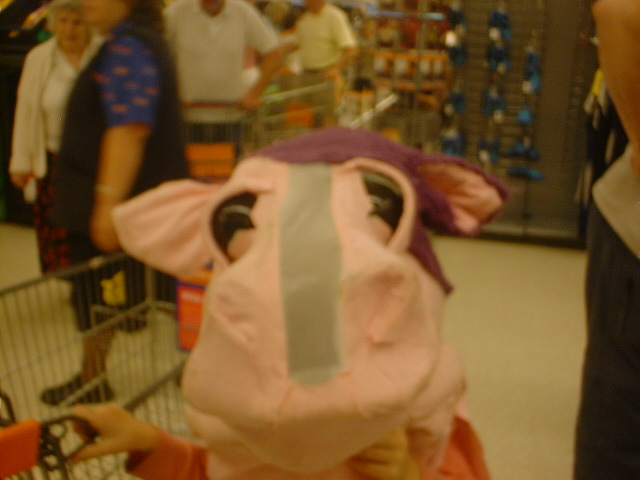 is this what GM feed will do to cows?