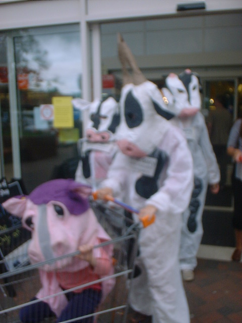 we left of our own accord