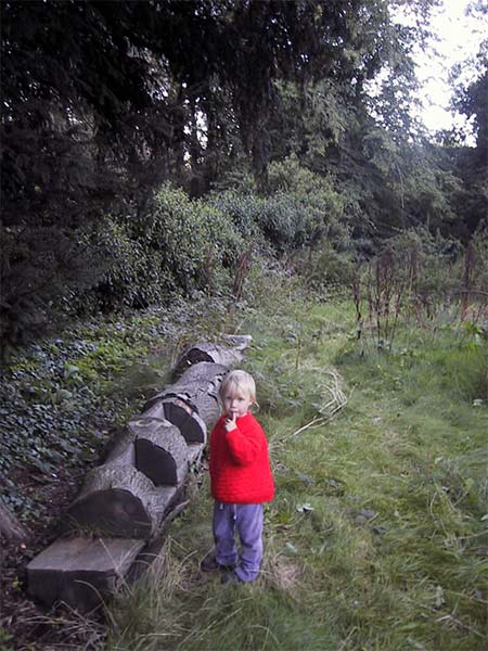 What's going to happen to our secret garden, Birmingham City Council?