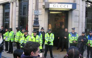 Daffodils in Autumn?