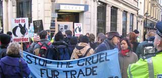 Stop the cruel fur trade