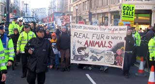 ..worn by beautiful animals and ugly people.