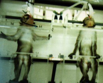 one of the hallmarks of a free and civilised society