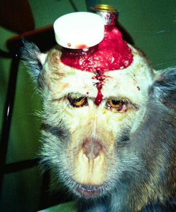 one of the hallmarks of a free and civilised society