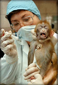 one of the hallmarks of a free and civilised society