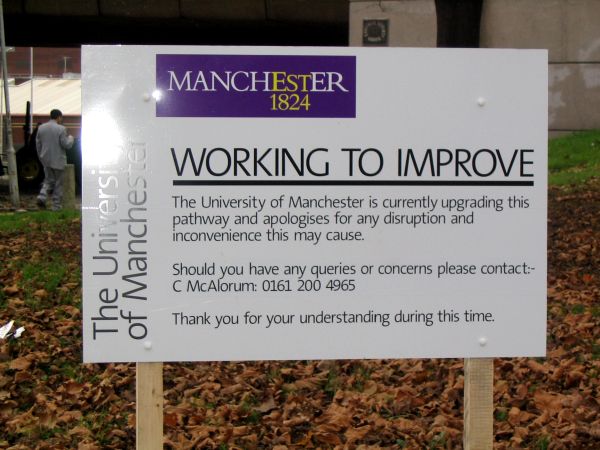 The trees that have been felled