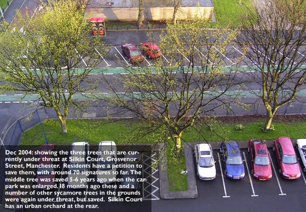 Trees at Silkin Court