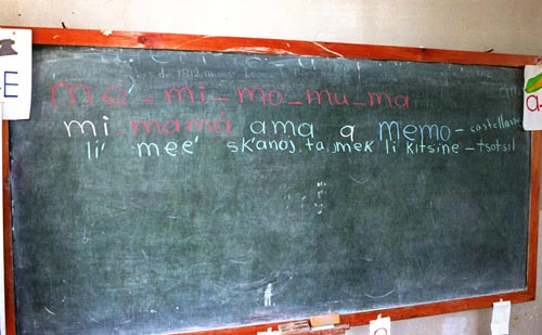 Taught in both Spanish and their indigenous mother tongue.