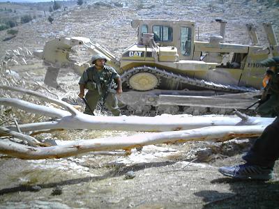 the real Criminal Damage