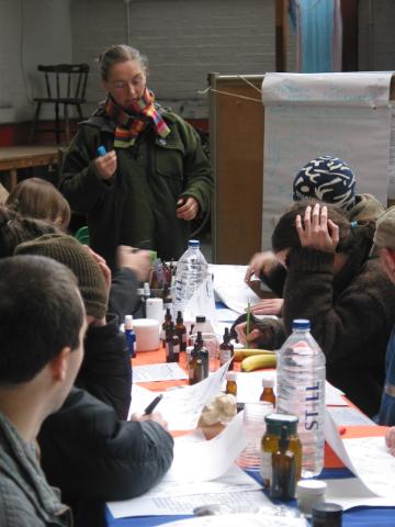 Herbal Remedies and Feral Food