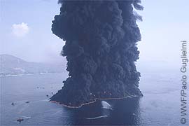 Thge System AND its Critics are Broken - WHo Can Lead???