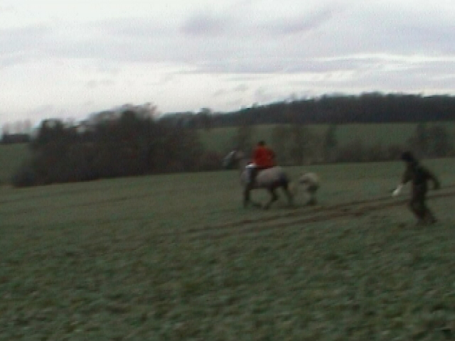 same huntsman attacks female sab