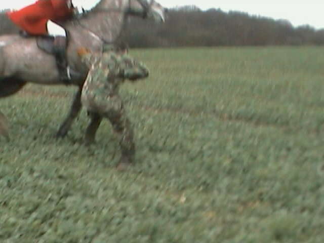 same huntsman different sab