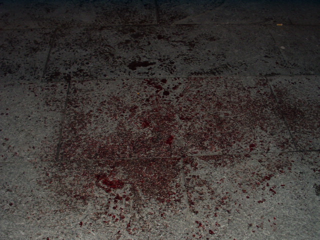 Fake blood on pavement by Queen Street.