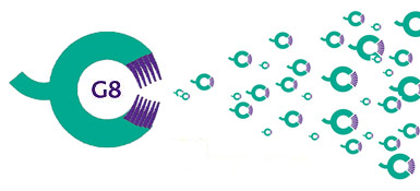 G8