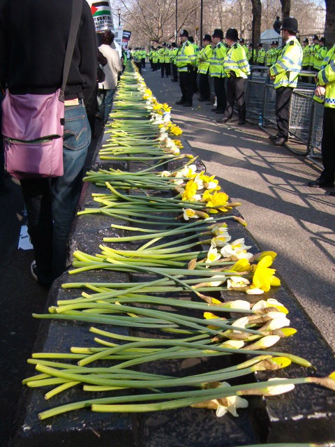 flowers for the ones who died