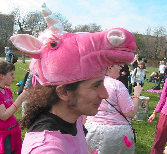 samba unicorn rests in the park