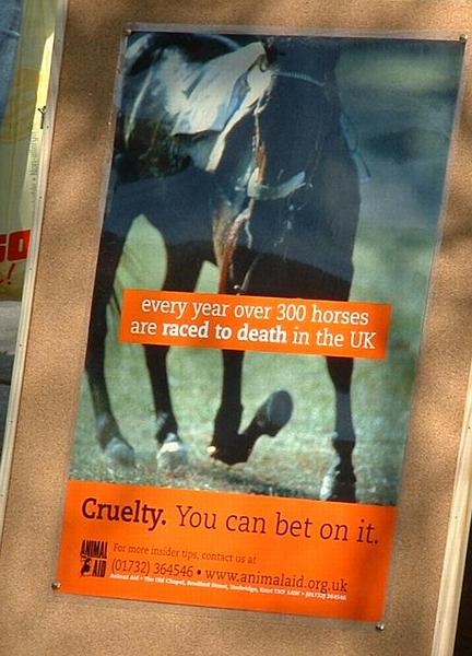 Cruelty. You can bet on it.