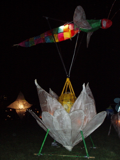 Flower and dragonfly