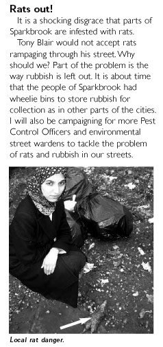 there's a rat in me kitchen what am I gonna do?