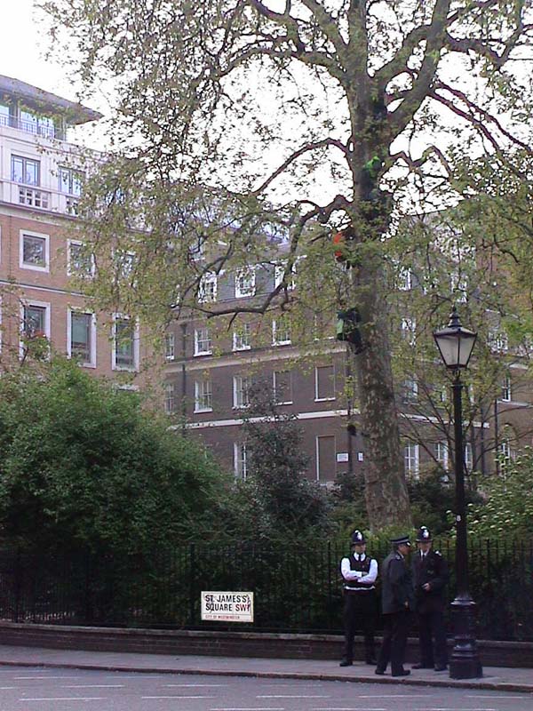 "protesters? where?"