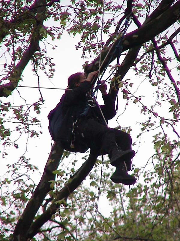 "which one do I pull to unfurl the banner?"