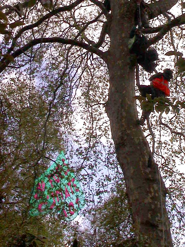 "here it comes, honest"