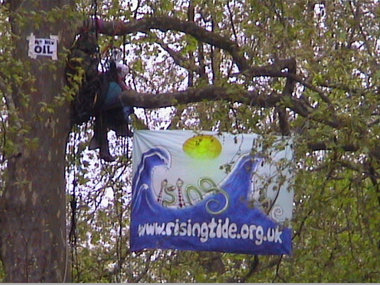 close-up of the one man tree camp