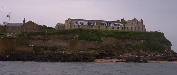 Trimmed and resized pic