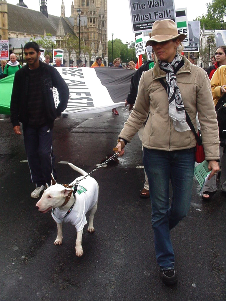 Doggies do demonstrations too