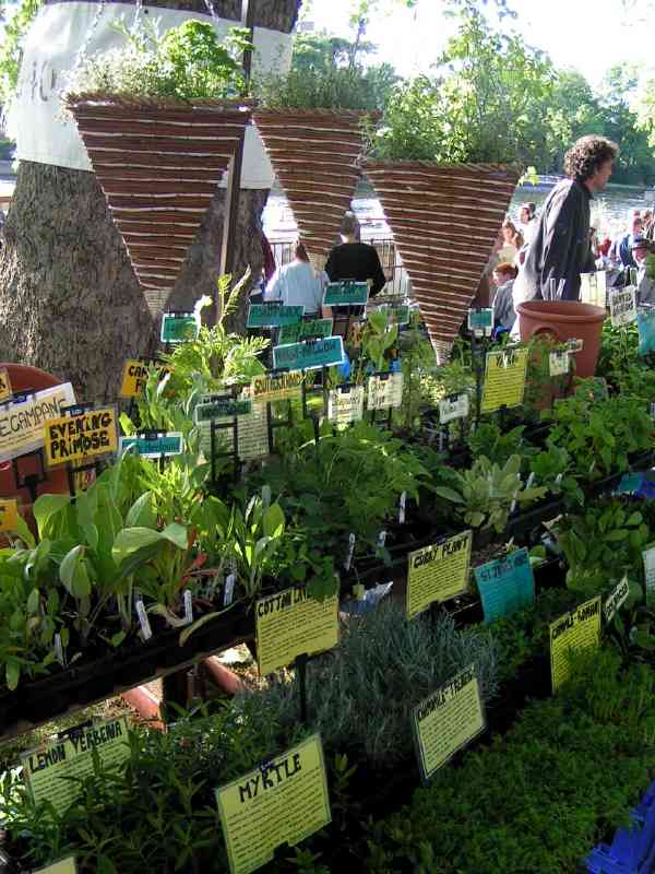 Shops - Herbal Haven B