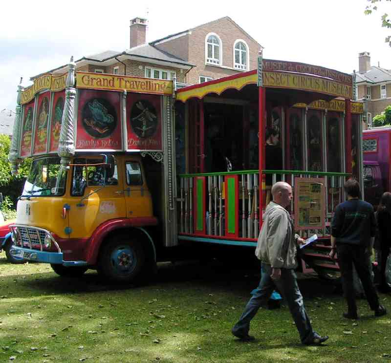 Sideshow - Grand Travelling Insect Circus Museum