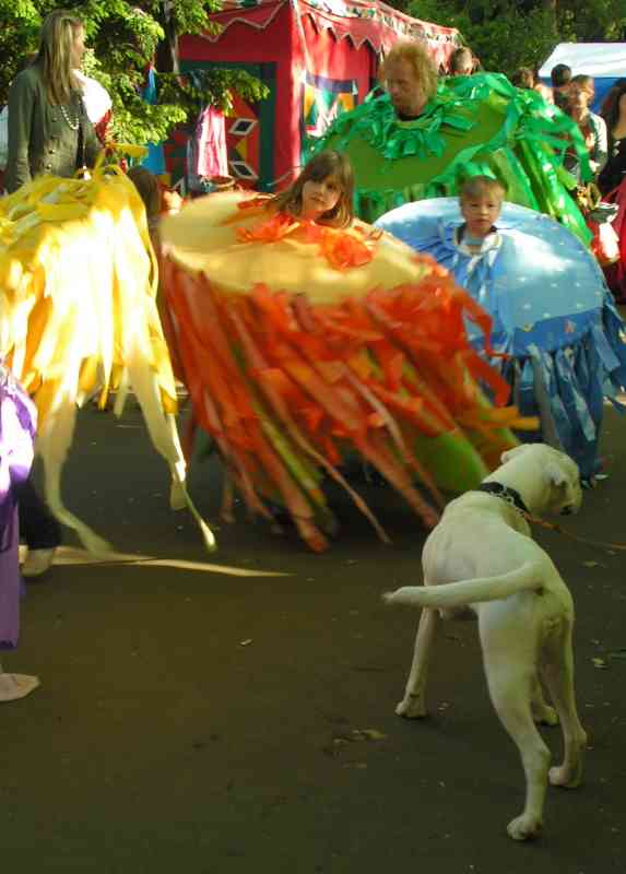 Procession J - colour wheels, white boxer