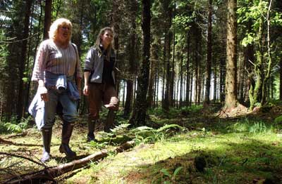 WALKING IN THE WOODS