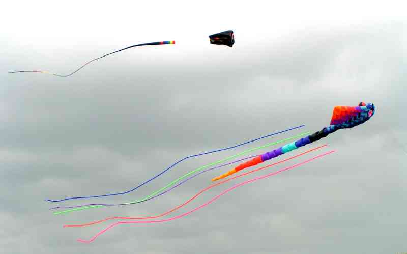 Kites - ray + wing.jpg