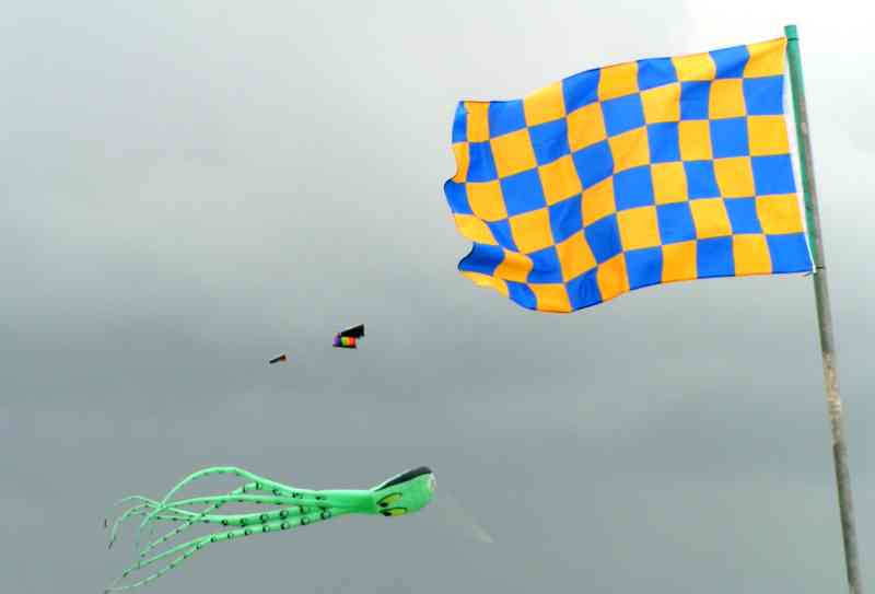 Kites + Flags - octopus B.jpg