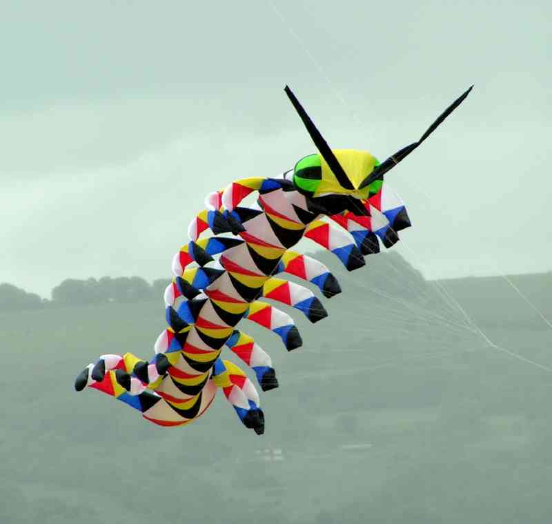 Kites - centipede A.jpg