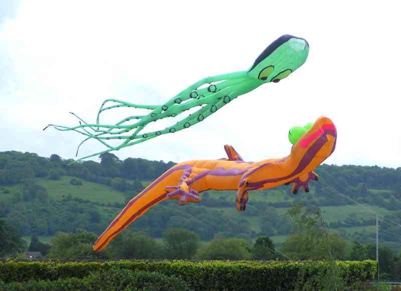 Kites - gecko + octopus A.jpg