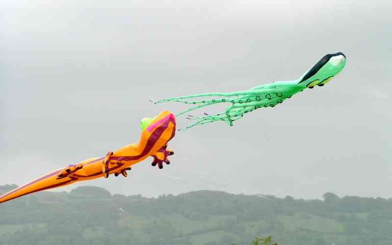 Kites - gecko + octopus C.jpg