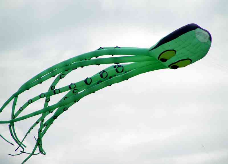Kites - octopus A.jpg