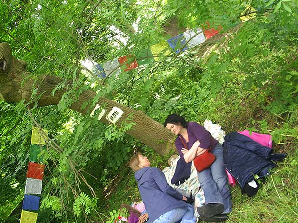 Tibetan Prayer Tree