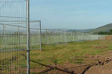 ...inside the fence.