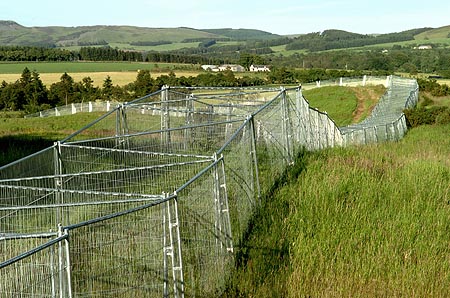 The locals and wildlife are unstandably quite fucked off about this.